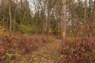 6689 Purcell Rd, Belleville, WI 53508 - Photo 66