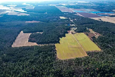 1504 Atom Road, Warrens,warrens, WI 54666 - Photo 8