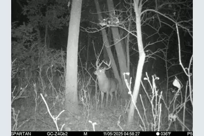 1504 Atom Road, Warrens,warrens, WI 54666 - Photo 6