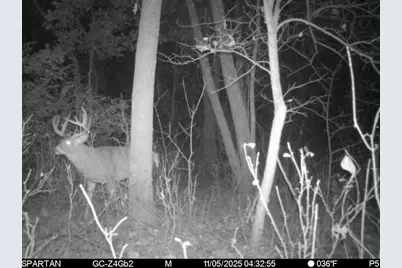 1504 Atom Road, Warrens,warrens, WI 54666 - Photo 12