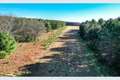 1504 Atom Road, Warrens,warrens, WI 54666 - Photo 20