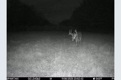 1504 Atom Road, Warrens,warrens, WI 54666 - Photo 18