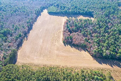 1504 Atom Road, Warrens,warrens, WI 54666 - Photo 4