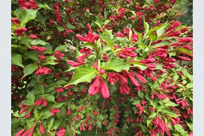 803 Centennial Parkway, Waunakee, WI 53597 - Photo 24