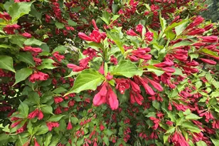 803 Centennial Pkwy, Waunakee, WI 53597 - Photo 24