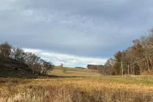 1906 Squirrel Hill Rd, Hollandale, WI 53544 - Photo 86