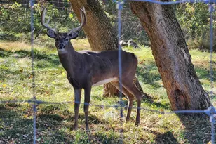 2290 S Afton Rd, Beloit, WI 53511 - Photo 22