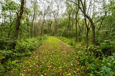 E11695 Chadwick Hollow Road, Viola, WI 54664 - Photo 4