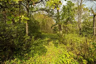 E11695 Chadwick Hollow Rd, Viola, WI 54664 - Photo 56