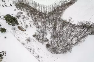 3891 Birch Trail, Cross Plains, WI 53528 - Photo 54