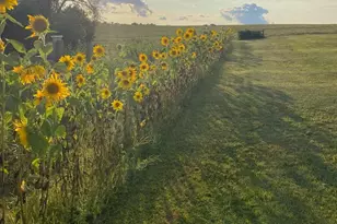 3891 Birch Trail, Cross Plains, WI 53528 - Photo 68