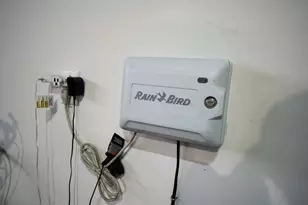 N8610 Island View Dr, New Lisbon, WI 53950 - Photo 42