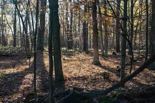 28133 Co Hwy ET, Tomah, WI 54660 - Photo 32