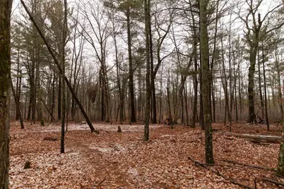 N5301 County Rd Y Road, Montello, WI 53949 - Photo 72