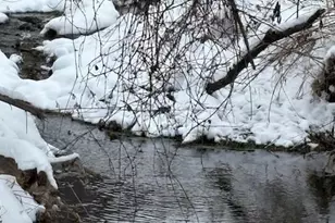 20497 Hady Ln, Gays Mills, WI 54631 - Photo 2