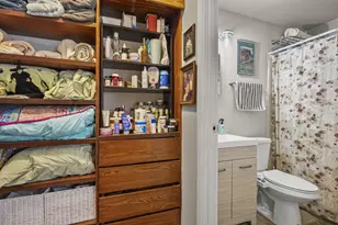 514 East Bluff, Madison, WI 53704 - Photo 28