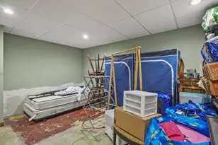 514 East Bluff, Madison, WI 53704 - Photo 34