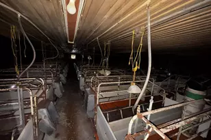 N2542 County Rd O Rd, Oxford, WI 53952 - Photo 12