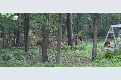 3863 5th Lot 8 Drive, Wisconsin Dells, WI 53965 - Photo 34