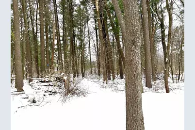 454 Shady Lane, Wisconsin Rapids, WI 54494 - Photo 48