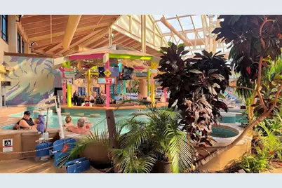 350 E Hiawatha Drive #113, Wisconsin Dells, WI 53965 - Photo 52