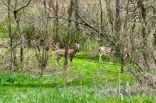 N2302 N Kohn Rd, Reeseville, WI 53579 - Photo 64