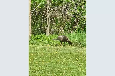 N2302 N Kohn Road, Reeseville, WI 53579 - Photo 62