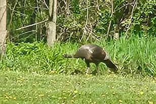 N2302 N Kohn Rd, Reeseville, WI 53579 - Photo 62