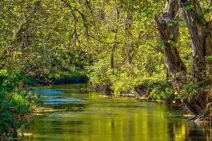 332 Harvard Dr, DeForest, WI 53532 - Photo 14