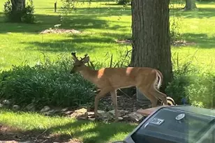 4528 N County M Rd, Janesville, WI 53536 - Photo 48