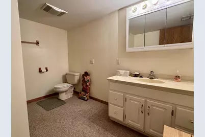 314 Forest Street, Fox Lake, WI 53933 - Photo 44