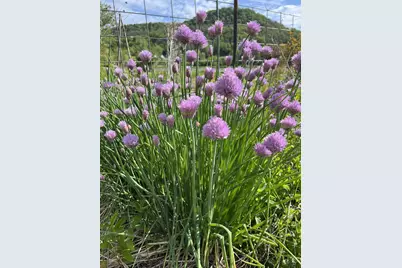 49501 Hwy 171, Gays Mills, WI 54631 - Photo 42