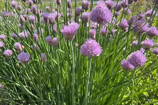 49501 Hwy 171, Gays Mills, WI 54631 - Photo 42