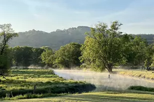 49501 Hwy 171, Gays Mills, WI 54631 - Photo 6