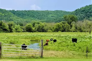 49501 Hwy 171, Gays Mills, WI 54631 - Photo 42