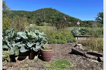 49501 Hwy 171, Gays Mills, WI 54631 - Photo 38