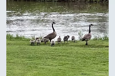 49501 Hwy 171, Gays Mills, WI 54631 - Photo 54