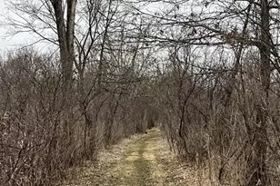 49501 Hwy 171, Gays Mills, WI 54631 - Photo 52