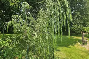 10200 County Road Y, Mazomanie, WI 53560 - Photo 8