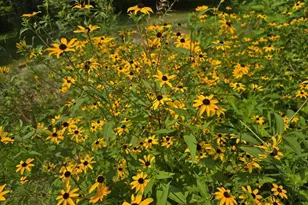 10200 County Road Y, Mazomanie, WI 53560 - Photo 6