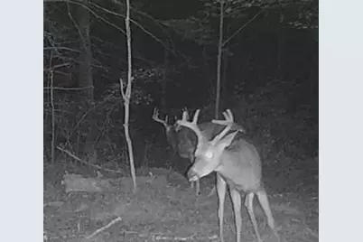 11305 M, Crandon, WI 54520 - Photo 8