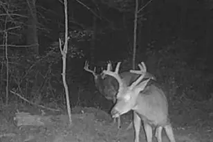 11305 M, Crandon, WI 54520 - Photo 8