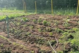 11305 M, Crandon, WI 54520 - Photo 26