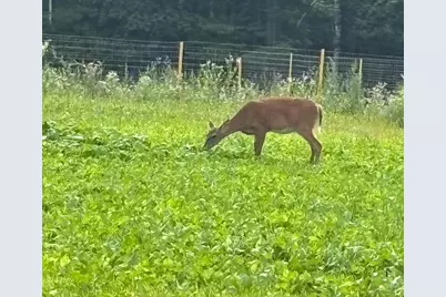 11305 M, Crandon, WI 54520 - Photo 28