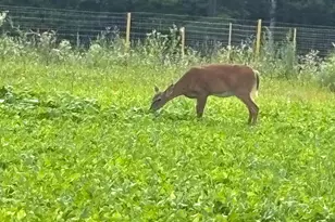 11305 M, Crandon, WI 54520 - Photo 28