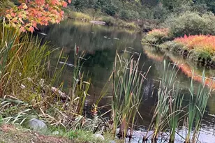 11305 M, Crandon, WI 54520 - Photo 32