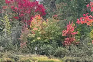 11305 M, Crandon, WI 54520 - Photo 32