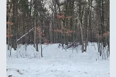 L59 Badger Court, Arkdale, WI 54613 - Photo 4