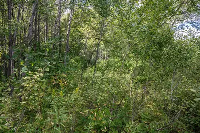 5.67 Acres 22nd Street, Necedah, WI 54646 - Photo 24