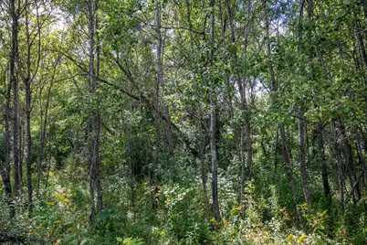5.67 Acres 22nd Street, Necedah, WI 54646 - Photo 22